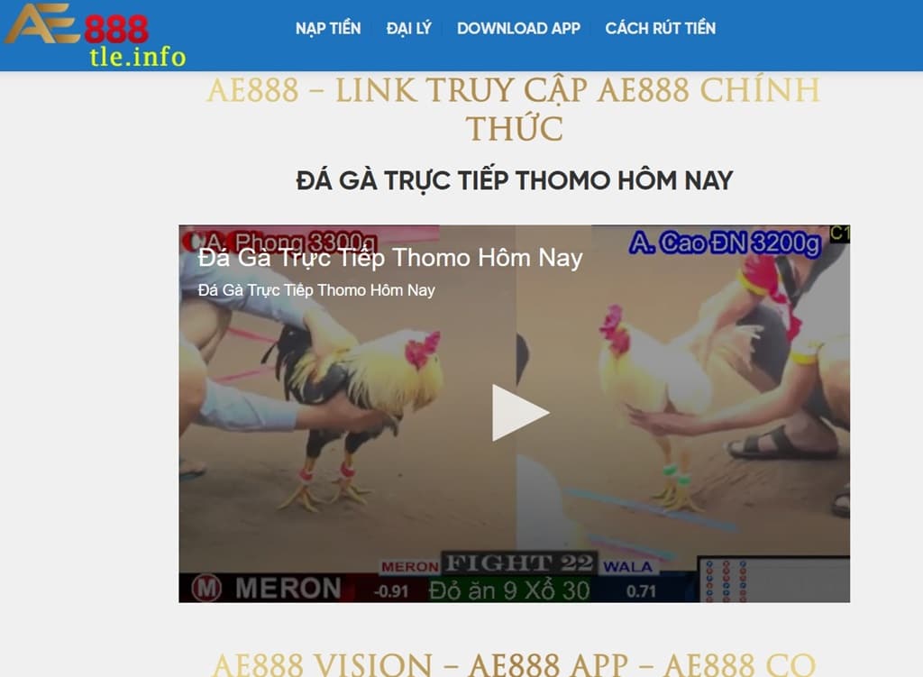 Giao diện tle.info